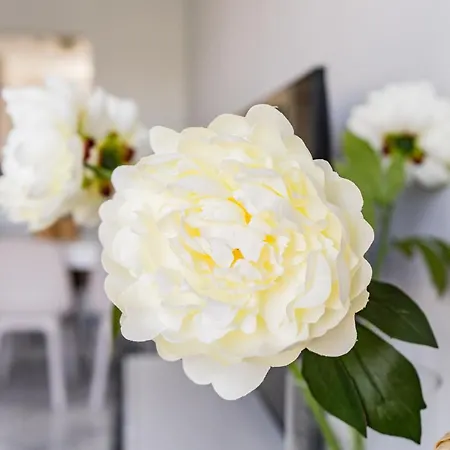 Cozy 2 Bedroom In Nueva Andalucia Μαρμπέλλα